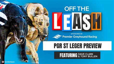 pgr greyhounds|PGR streaming .